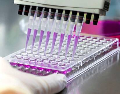 MTT Assay