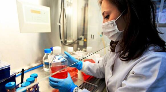 Cell Culture